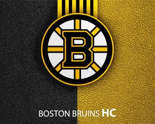 Boston Bruins Logo Diamond Painting