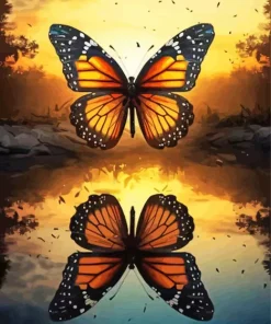 Butterfly Reflection Diamond Painting