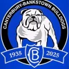 Canterbury Bankstown Bulldogs Logo Diamond Painting