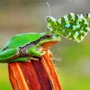 Frog And Butterfly Diamond Painting