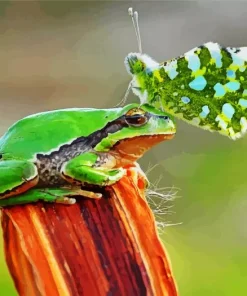 Frog And Butterfly Diamond Painting
