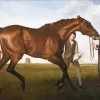 Hambletonian Rubbing Down Diamond Painting