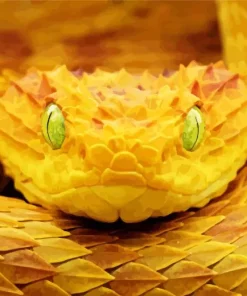 Yellow Bush Snake Diamond Painting