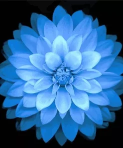 Aesthetic Blue Dahlia Flower Diamond Painting