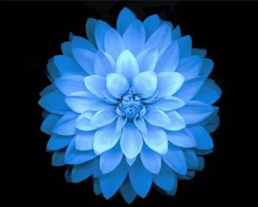Aesthetic Blue Dahlia Flower Diamond Painting