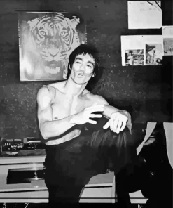 Black And White Bruce Lee Diamond Painting