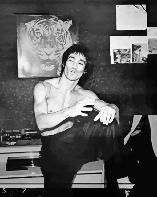 Black And White Bruce Lee Diamond Painting