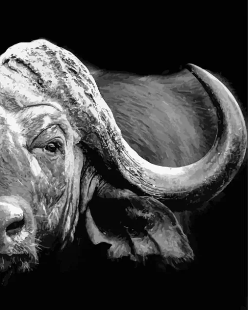 Black And White Buffalo Diamond Painting