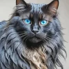 Black Cat Blue Eyes Art Diamond Painting