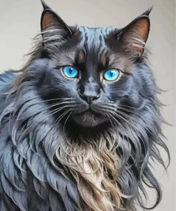 Black Cat Blue Eyes Art Diamond Painting