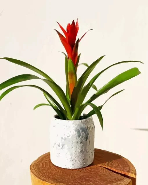 Bromeliad Pot Diamond Painting
