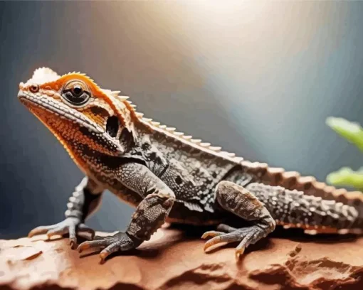 Brookesia Micra Chameleon Diamond Painting