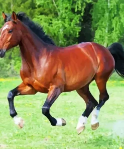 Brown And Black Horse Diamond Painting