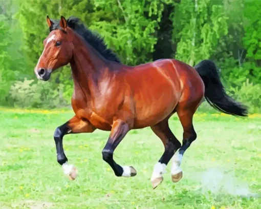 Brown And Black Horse Diamond Painting
