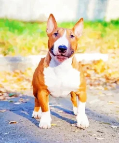 Brown And White English Bull Terrier Diamond Painting