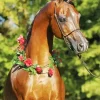 Brown Arabian Horse Diamond Painting