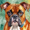 Brown Boxer Dog Diamond Painting