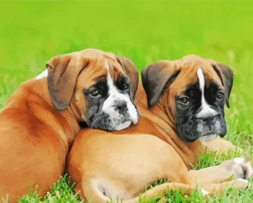 Brown Boxer Puppies Diamond Painting
