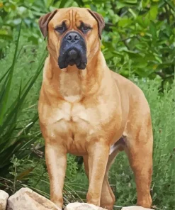 Brown Bull Mastiff Diamond Painting