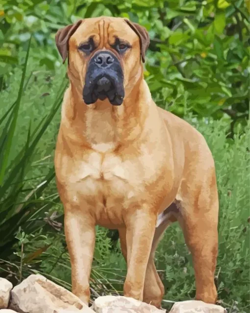 Brown Bull Mastiff Diamond Painting
