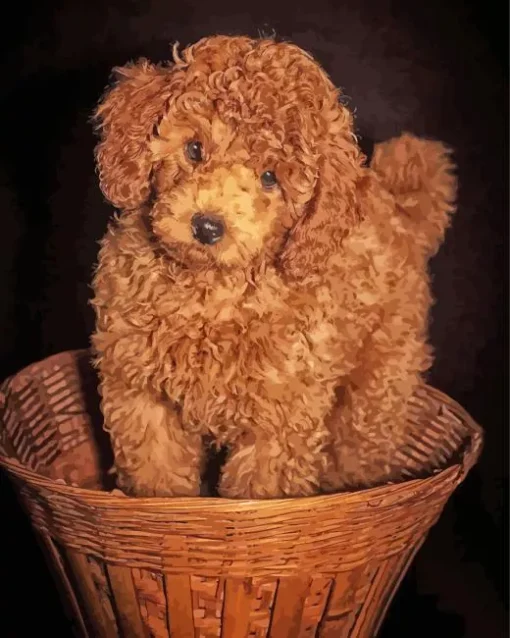 Brown Fluffy Poodle In Basket Diamond Painting