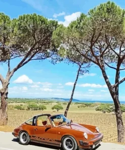 Brown Old Car Diamond Painting