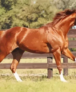 Brown Stallion Diamond Painting