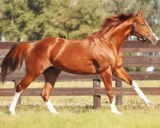 Brown Stallion Diamond Painting