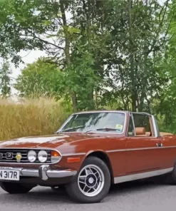 Brown Triumph Stag Car Diamond Painting