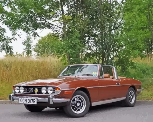 Brown Triumph Stag Car Diamond Painting