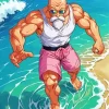 Buff Master Roshi Diamond Painting