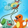 Bulbasaur With Charmander And Squirtle Diamond Painting
