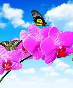 Butterflies And Orchids Diamond Painting