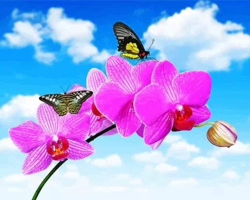 Butterflies And Orchids Diamond Painting