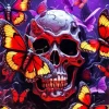 Butterflies And Skull Diamond Painting