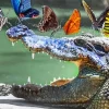 Butterflies On Alligator Diamond Painting