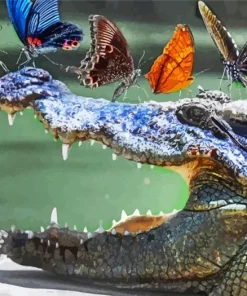Butterflies On Alligator Diamond Painting