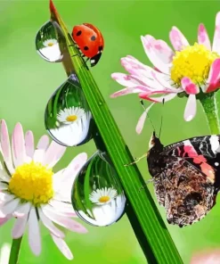 Butterfly And Ladybug Diamond Painting