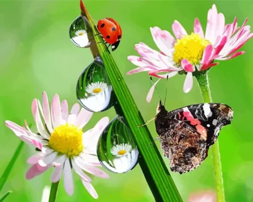 Butterfly And Ladybug Diamond Painting