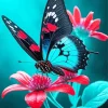 Butterfly On Red Flower Diamond Painting