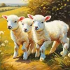 Cool Fluffy Lambs Art Diamond Painting