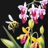 Flowers And Bees Diamond Painting