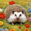 Flowers And The Hedgehog Diamond Painting