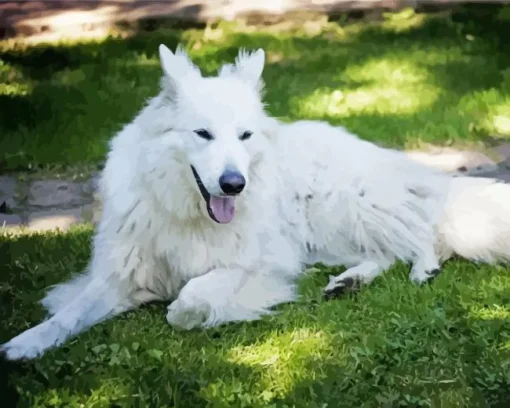 Fully White German Shepherd Diamond Painting