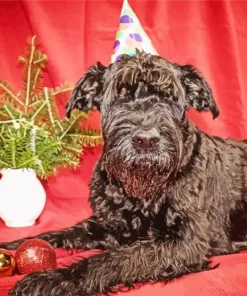 Giant Schnauzer Dog Diamond Painting