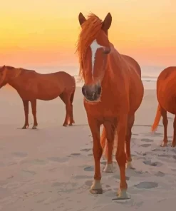 Horses in The Beach Diamond Painting