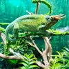 Jacksons Chameleon Diamond Painting