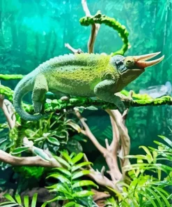 Jacksons Chameleon Diamond Painting