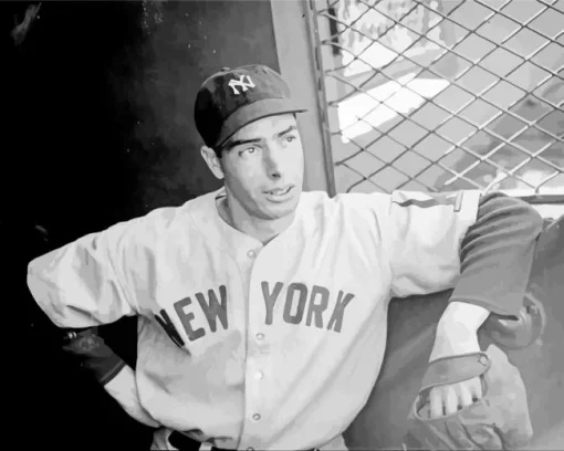 Joe Dimaggio Baseballer Diamond Painting