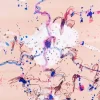 John Olsen Diamond Painting